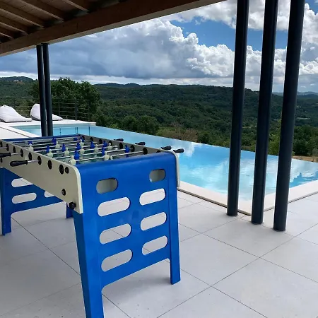 Villa The Buzet